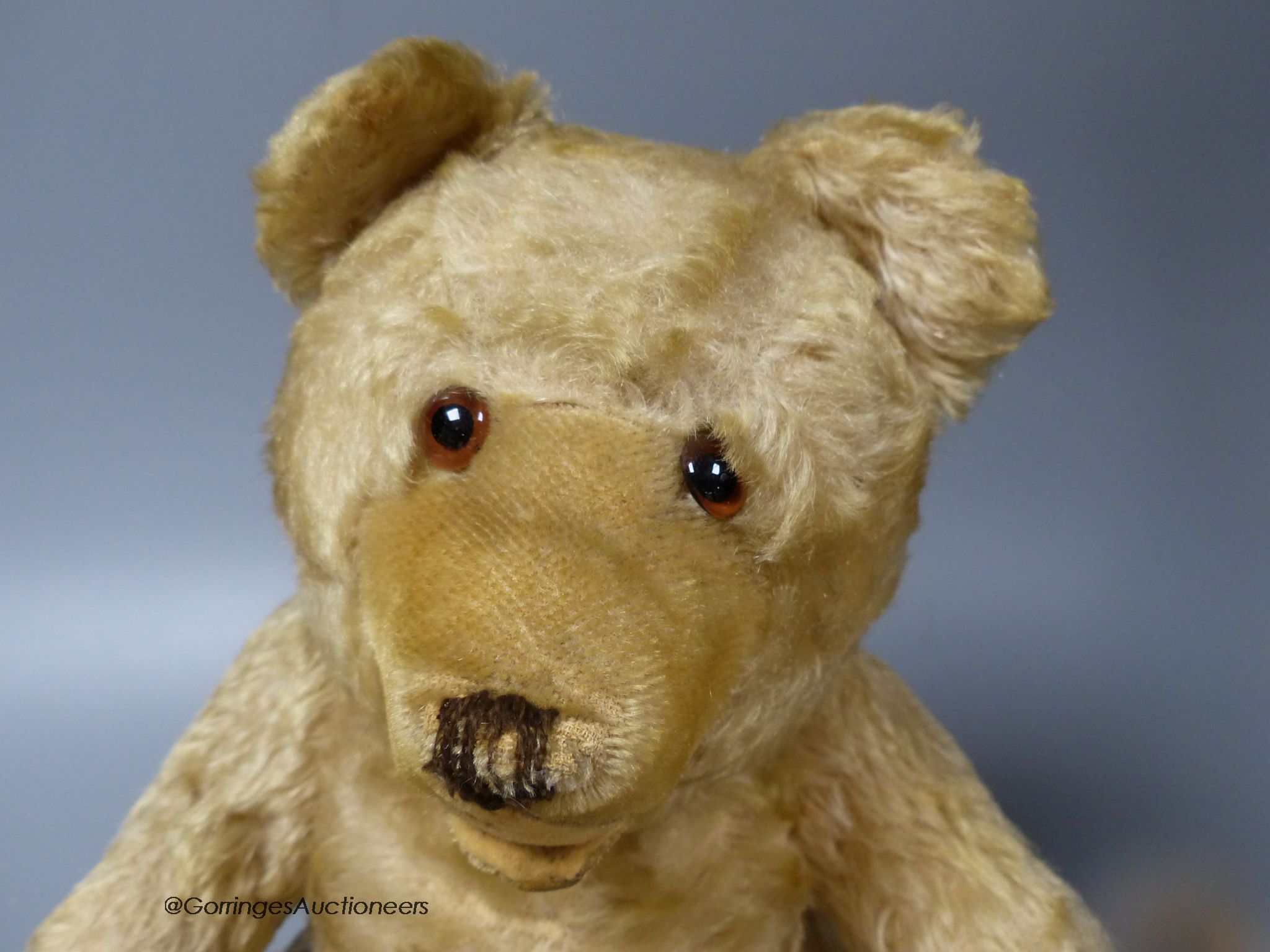 A rare Steiff teddy bear in good condition, thick blonde mohair, c.1930s